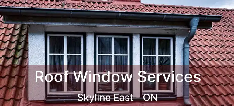  Roof Window Services Skyline East - ON