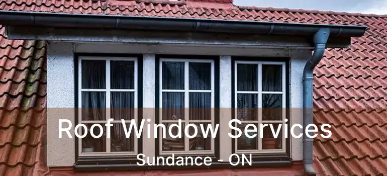  Roof Window Services Sundance - ON
