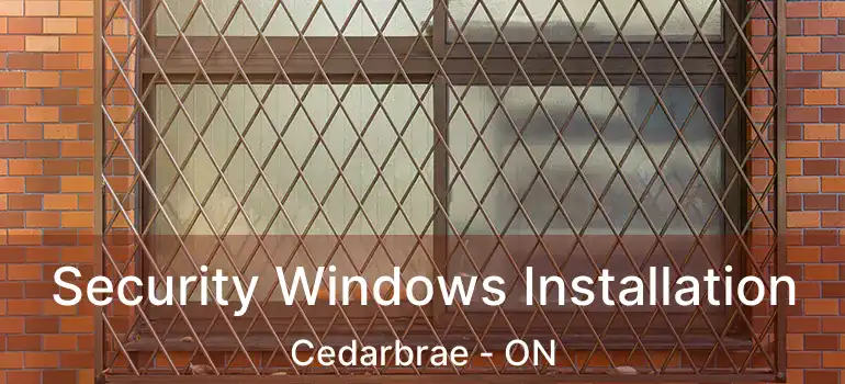  Security Windows Installation Cedarbrae - ON