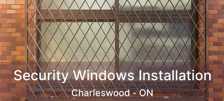 Security Windows Installation Charleswood - ON