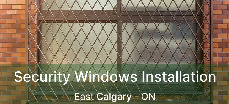  Security Windows Installation East Calgary - ON