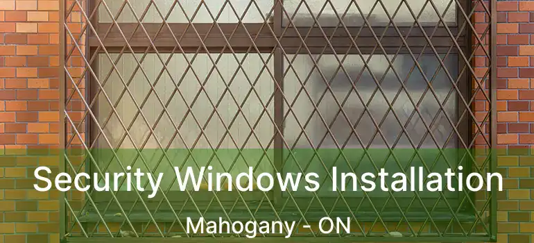  Security Windows Installation Mahogany - ON