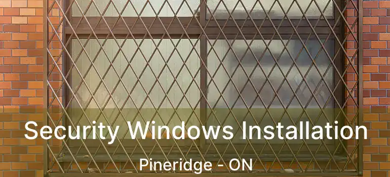  Security Windows Installation Pineridge - ON