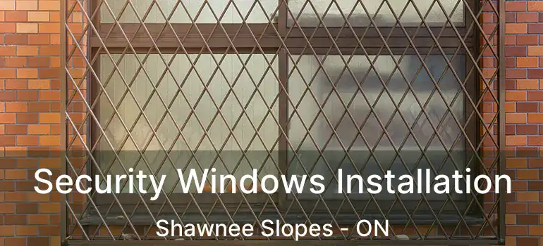 Security Windows Installation Shawnee Slopes - ON