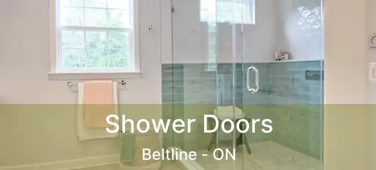  Shower Doors Beltline - ON