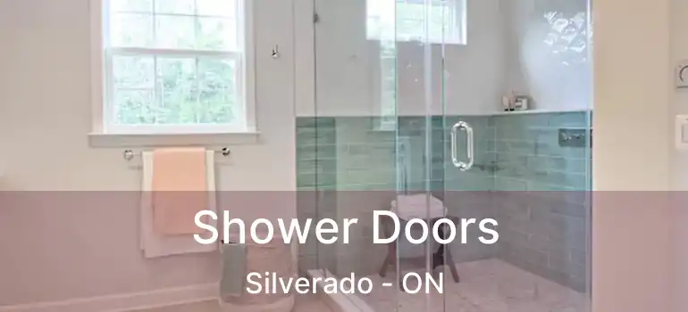  Shower Doors Silverado - ON