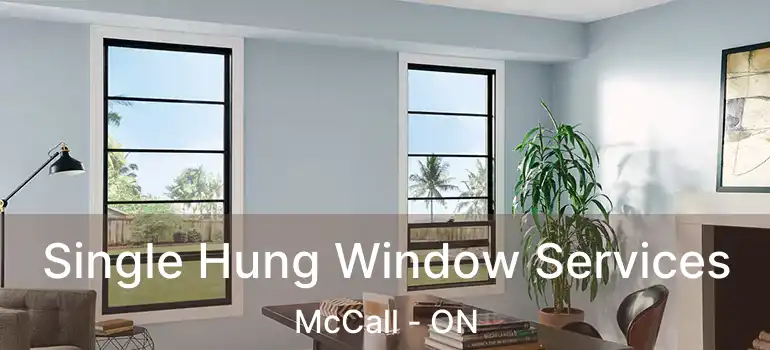 Single Hung Window Services McCall - ON