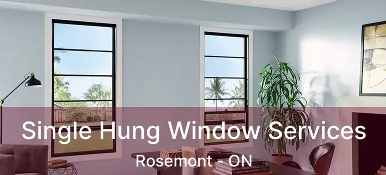  Single Hung Window Services Rosemont - ON