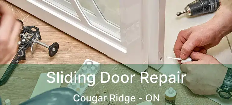  Sliding Door Repair Cougar Ridge - ON