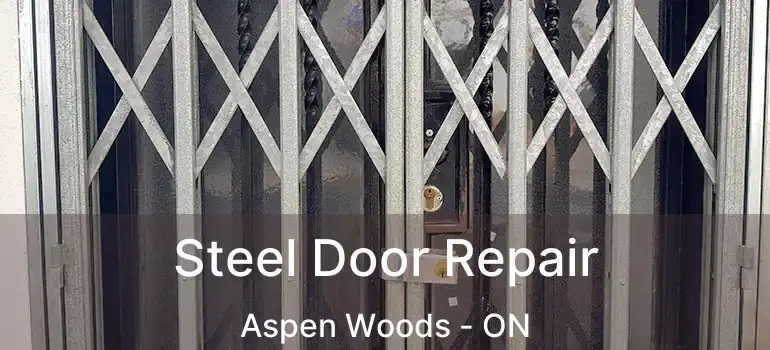  Steel Door Repair Aspen Woods - ON