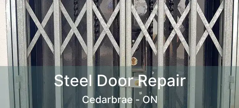  Steel Door Repair Cedarbrae - ON