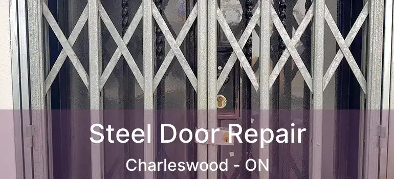  Steel Door Repair Charleswood - ON