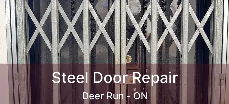  Steel Door Repair Deer Run - ON