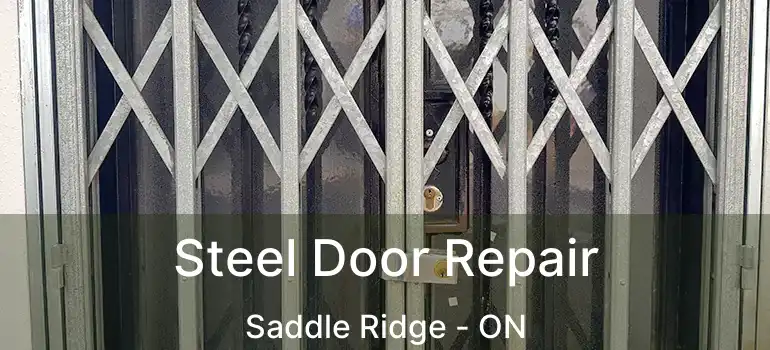  Steel Door Repair Saddle Ridge - ON