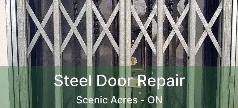  Steel Door Repair Scenic Acres - ON
