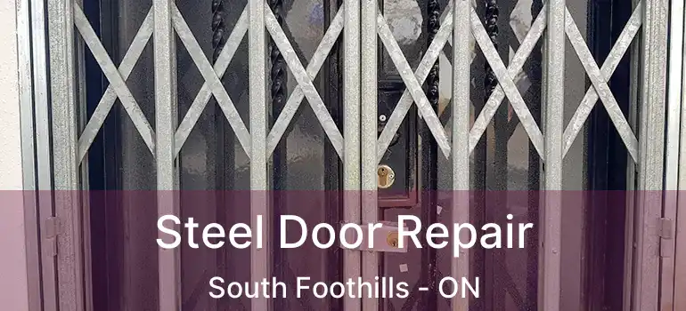  Steel Door Repair South Foothills - ON