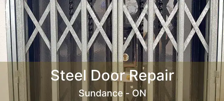  Steel Door Repair Sundance - ON