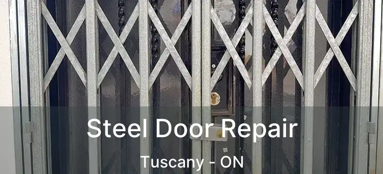  Steel Door Repair Tuscany - ON
