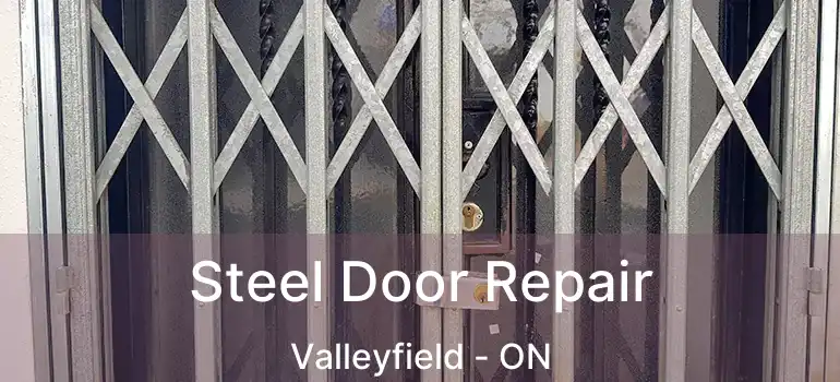  Steel Door Repair Valleyfield - ON