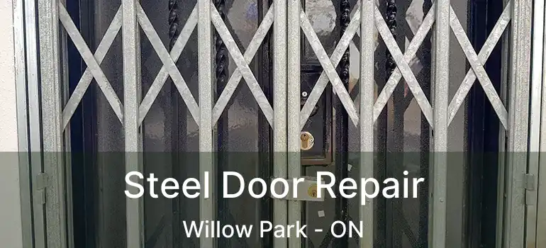  Steel Door Repair Willow Park - ON