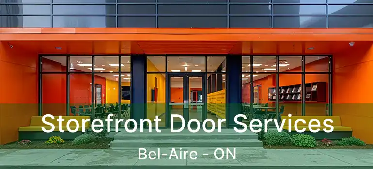  Storefront Door Services Bel-Aire - ON