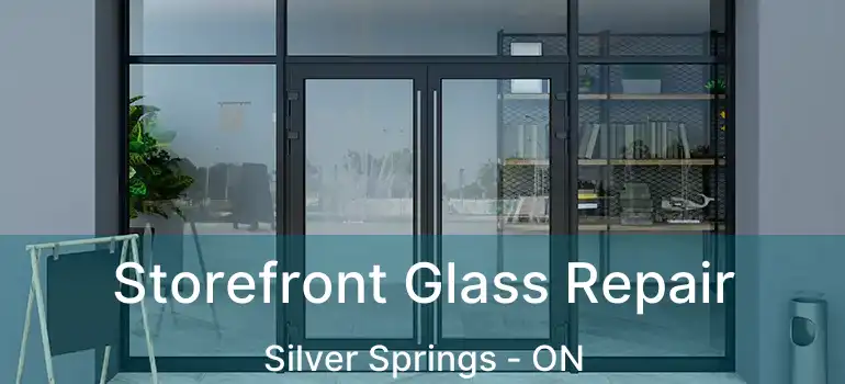  Storefront Glass Repair Silver Springs - ON