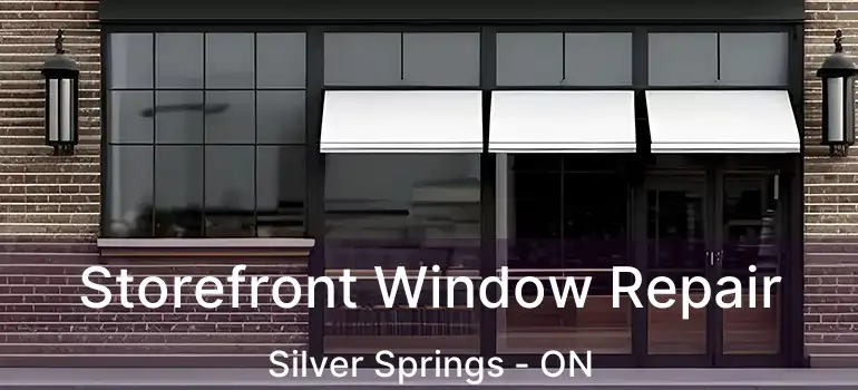  Storefront Window Repair Silver Springs - ON