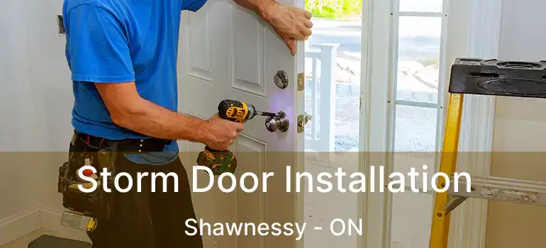  Storm Door Installation Shawnessy - ON