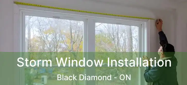  Storm Window Installation Black Diamond - ON