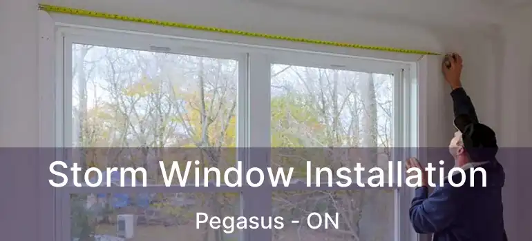  Storm Window Installation Pegasus - ON