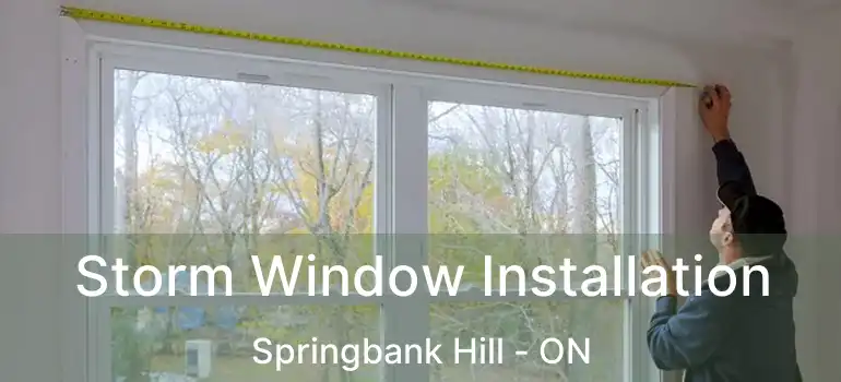  Storm Window Installation Springbank Hill - ON