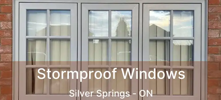  Stormproof Windows Silver Springs - ON