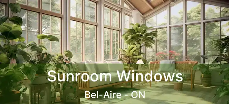  Sunroom Windows Bel-Aire - ON
