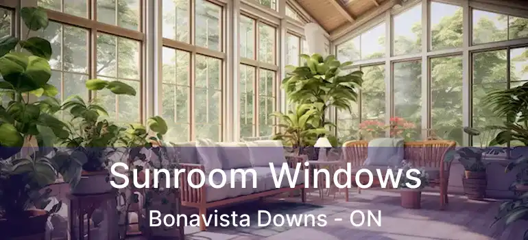  Sunroom Windows Bonavista Downs - ON
