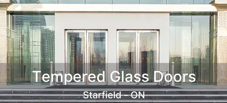  Tempered Glass Doors Starfield - ON