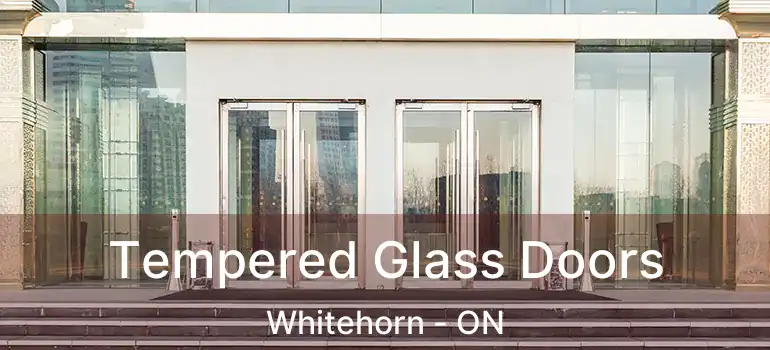  Tempered Glass Doors Whitehorn - ON