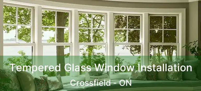  Tempered Glass Window Installation Crossfield - ON