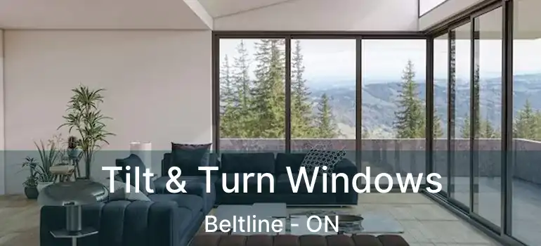  Tilt & Turn Windows Beltline - ON