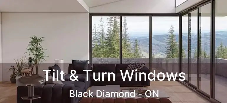  Tilt & Turn Windows Black Diamond - ON