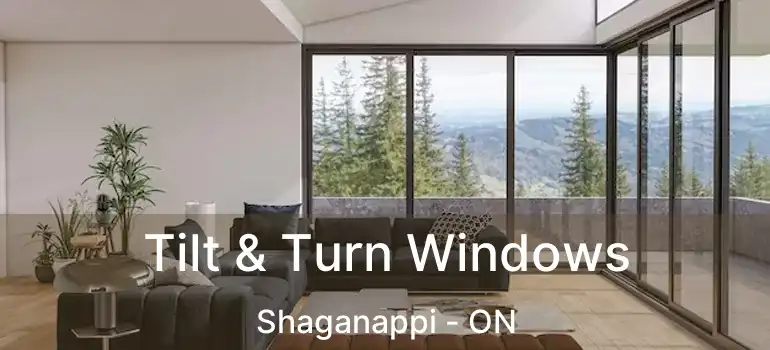  Tilt & Turn Windows Shaganappi - ON