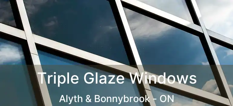  Triple Glaze Windows Alyth & Bonnybrook - ON
