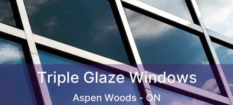  Triple Glaze Windows Aspen Woods - ON