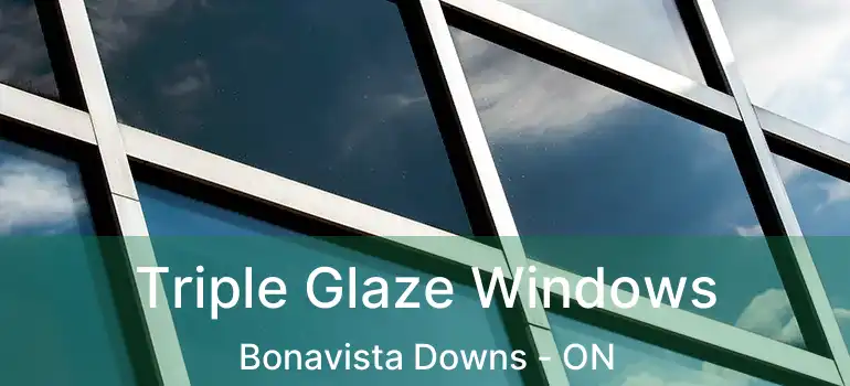  Triple Glaze Windows Bonavista Downs - ON