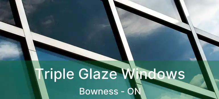  Triple Glaze Windows Bowness - ON