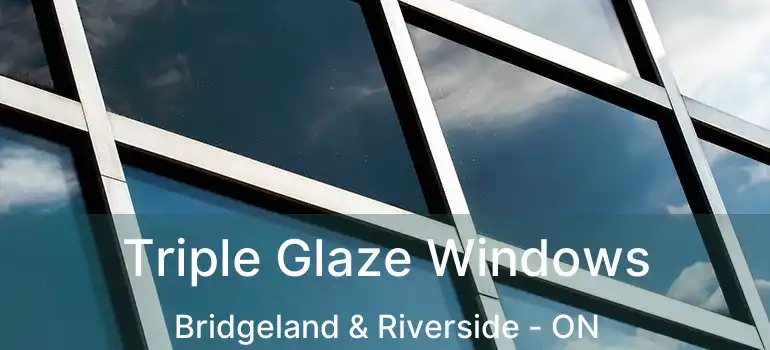  Triple Glaze Windows Bridgeland & Riverside - ON