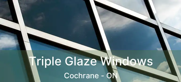  Triple Glaze Windows Cochrane - ON