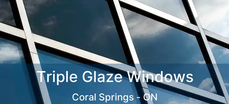  Triple Glaze Windows Coral Springs - ON