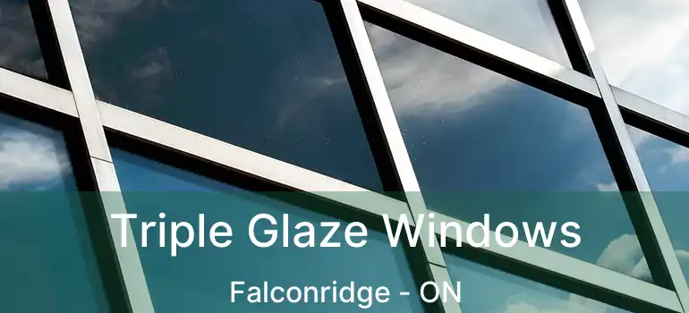  Triple Glaze Windows Falconridge - ON