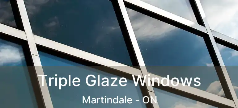  Triple Glaze Windows Martindale - ON