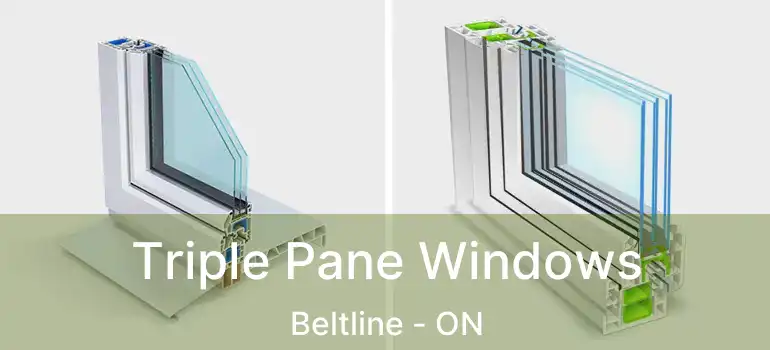  Triple Pane Windows Beltline - ON